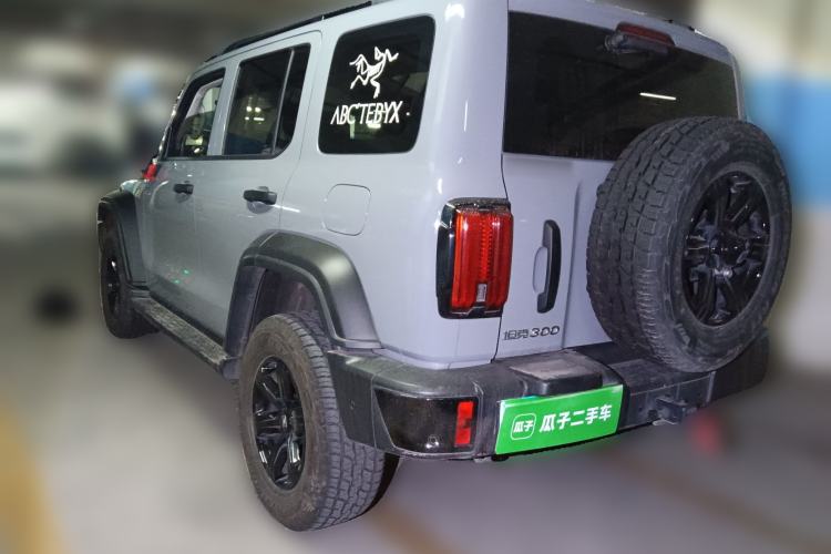 Used Tank 300 2025 2.4T Diesel Version