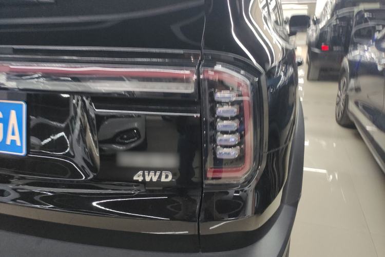 Used Haval DARGO 2024 2.0T DCT Chinese Rural Dog Edition
