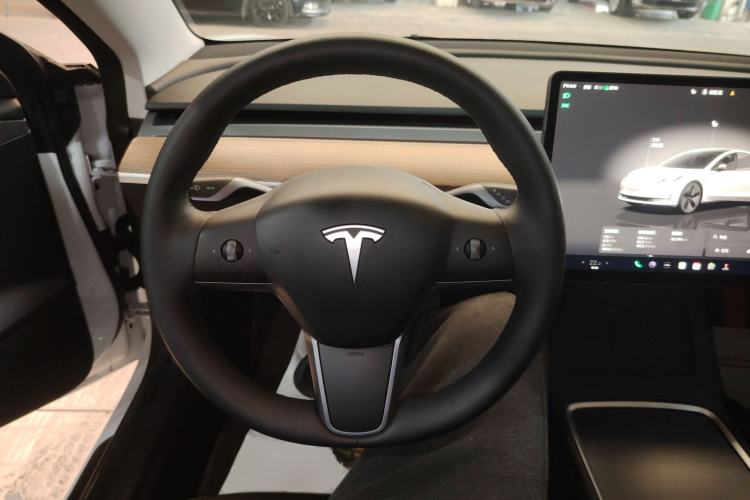 Used Tesla Model 3 2022 Rear-Wheel-Drive Version