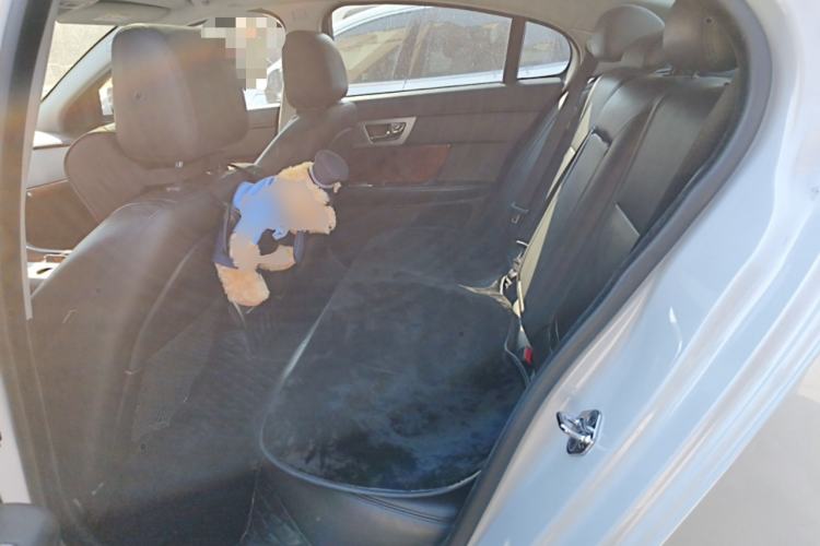 Used Jaguar XF 2015 XF 2.0T Luxury Edition Left Rear Seat