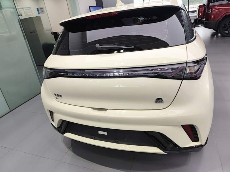 Used BYD Dolphin 2023 420 km Free Version — 5