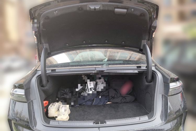 Used BYD Seal 2022 550 km Standard Range Rear-Wheel Drive Elite Version
