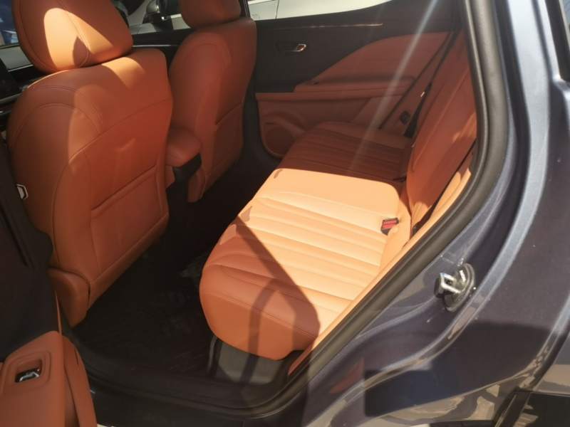 Used AION V 2024 Aion Tyrannosaurus 650 Smart Luxury Edition — 16