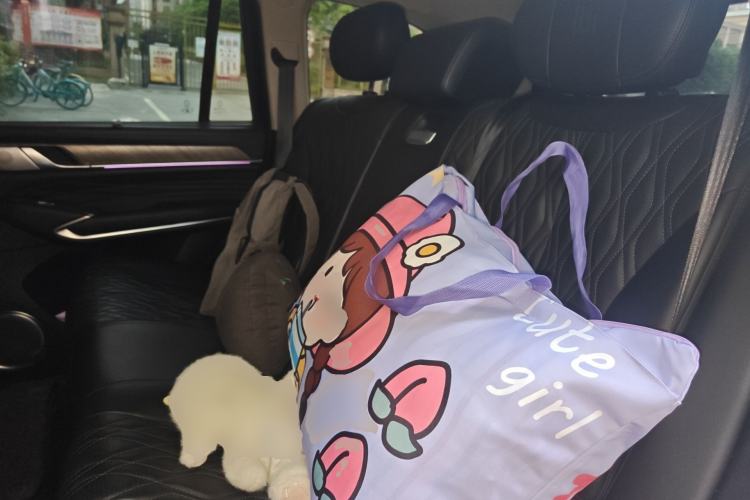 Used Tank 500 2022 3.0T Sport Edition "Creation" Version 5-Seater