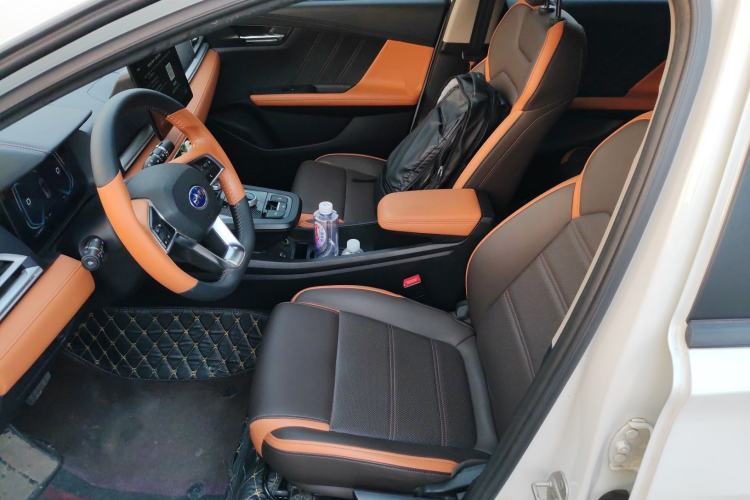 Used BYD e2 2021 Luxury Model