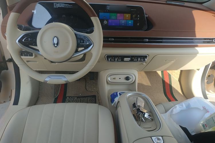 Used ORA Good Cat 2023 401 km Standard Range Luxury Version Lithium Iron Phosphate