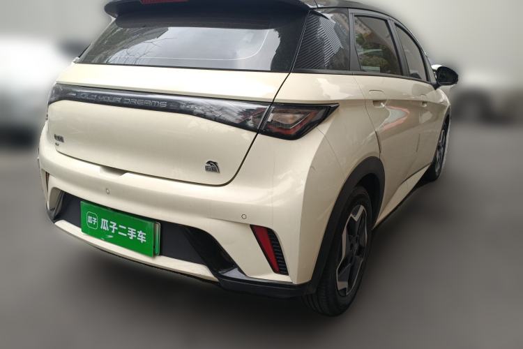 Used BYD Dolphin 2021 405 km Free Version
