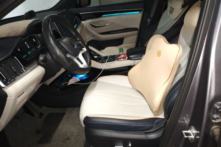 Used BYD Song PLUS New Energy 2021 EV Deluxe Model Left Front Seat