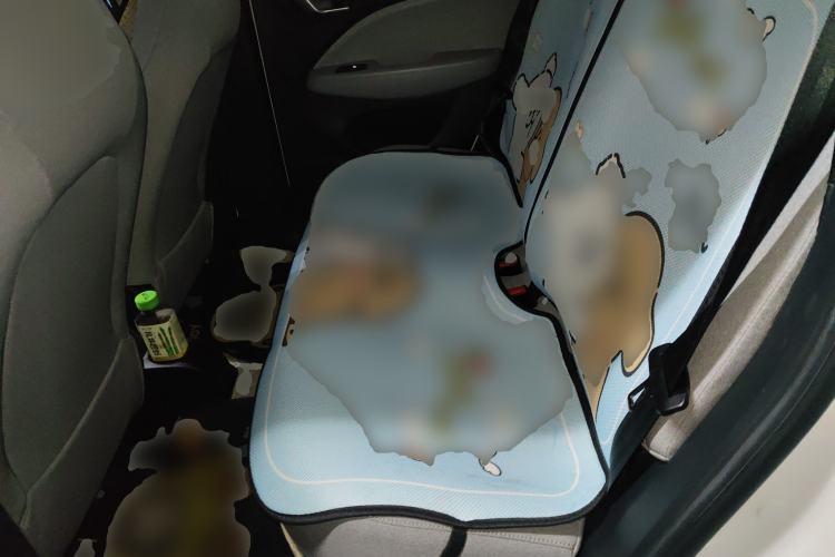 Used Leapmotor T03 2022 Crystal Edition Left Rear Seat