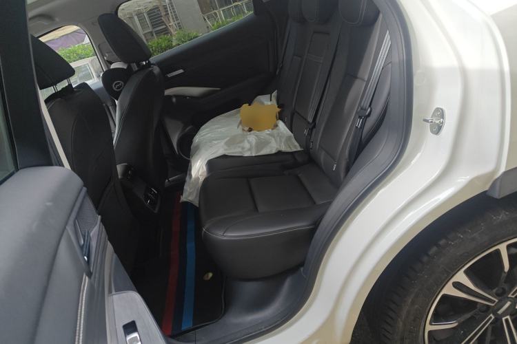 Used Wey VV6 2021 2.0T Two-Wheel Drive Smart Plus Left Rear Seat