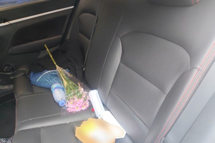 Used Hyundai Elantra (6th Generation / Lingdong) 2016 1.6L Automatic ZhiXuan – Elite Version Left Rear Seat