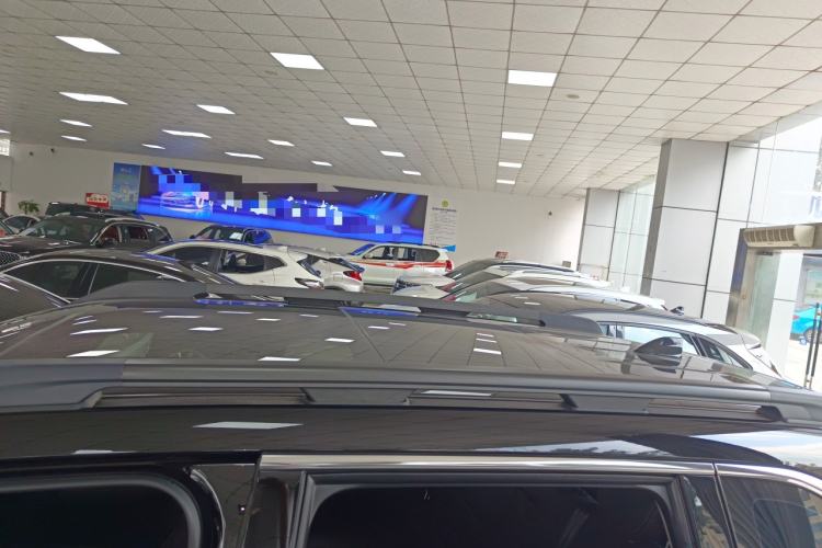 Used Haval DARGO 2024 2.0T DCT Chinese Rural Dog Edition
