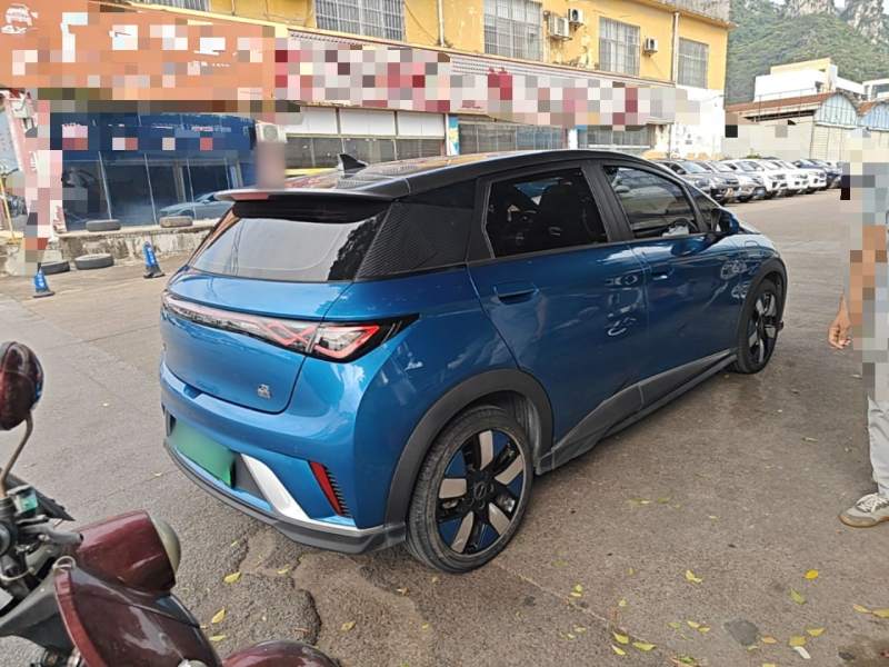 Used BYD Dolphin 2021 401km Knight Edition — 6