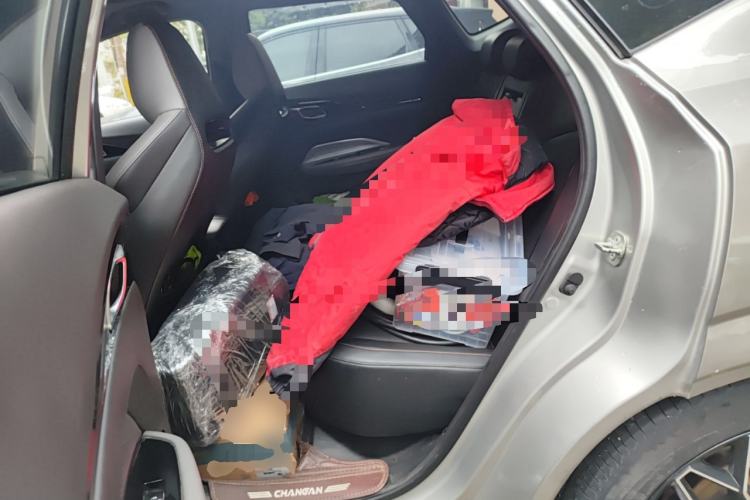 Used CHANGAN OSHAN Z6 New Energy 2023 ZhiDian iDD 150KM Flagship PLUS Left Rear Seat