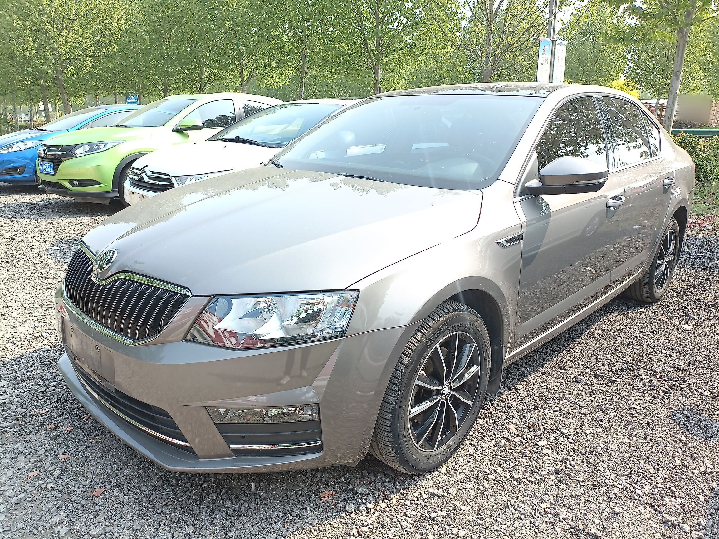 Parte inferior delantera