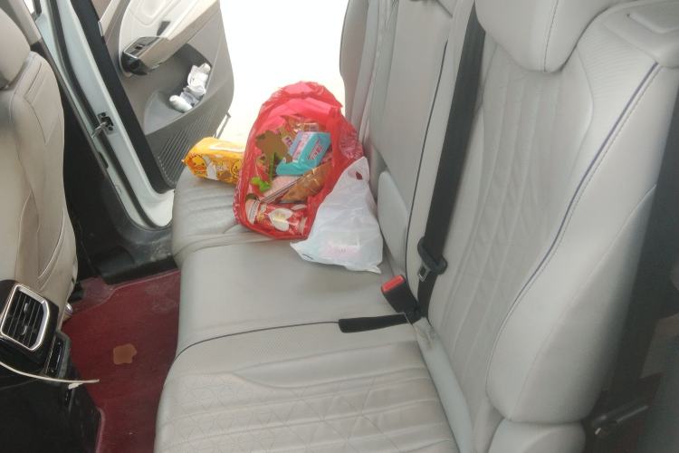 Used Volkswagen ID.6 X 2022 ZhiXiang Pure Long-Range Edition Left Rear Seat