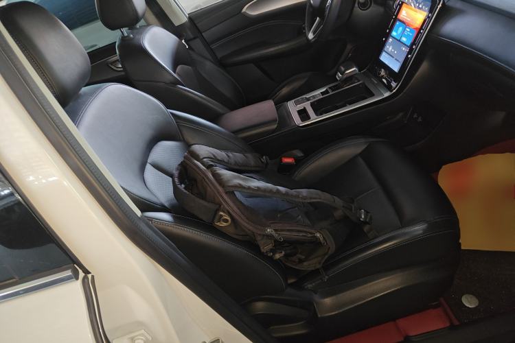 Used Roewe RX5 2020 PLUS 300TGI Automatic Ali National Style Luxury Edition
