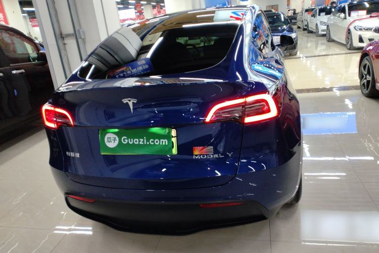Used Tesla Model Y 2021 Standard Range Rear-Wheel Drive Version Exterior 4