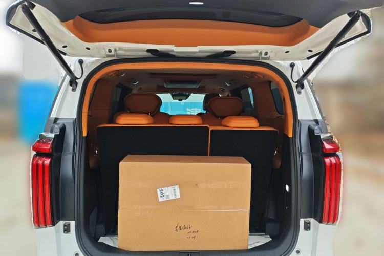 Used Wey Gaoshan 2023 Four-Wheel Drive Flagship Edition