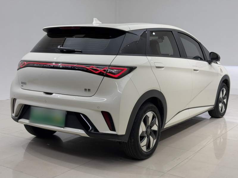 Used BYD Dolphin 2025 420km Free Edition — 28