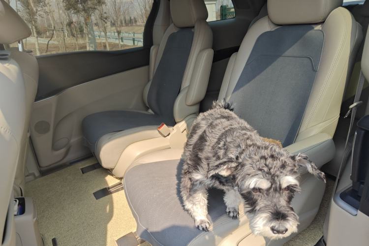 Used Buick GL8 2018 28T Luxury Model China VI Standard
