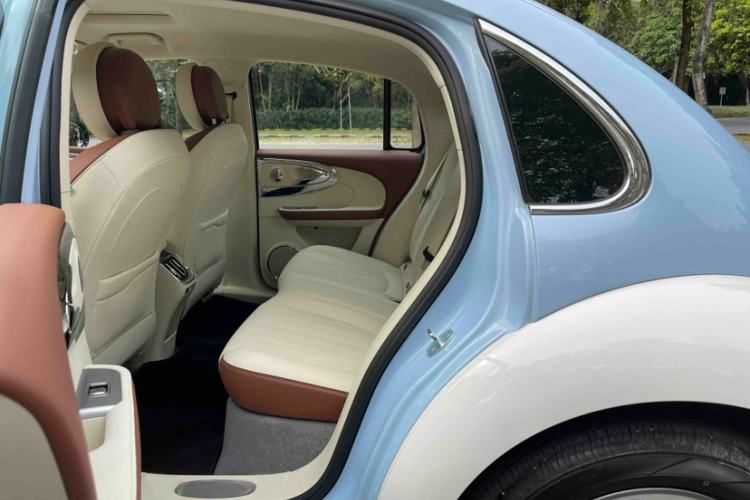 Used ORA Ballet Cat 2023 401 km Luxury Version Interior 6