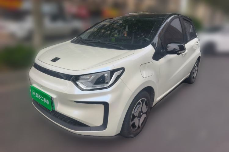 Used SOL E10X 2022 Flower Fairy Design Sunflower