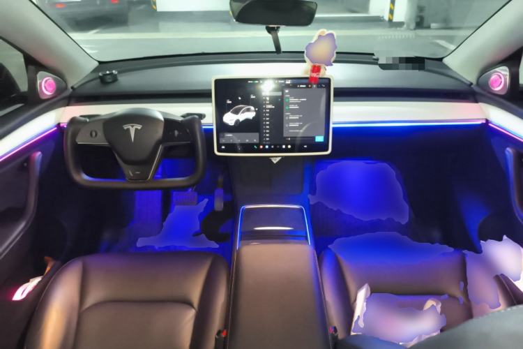 Used Tesla Model Y 2021 Standard Range Rear-Wheel Drive Version
