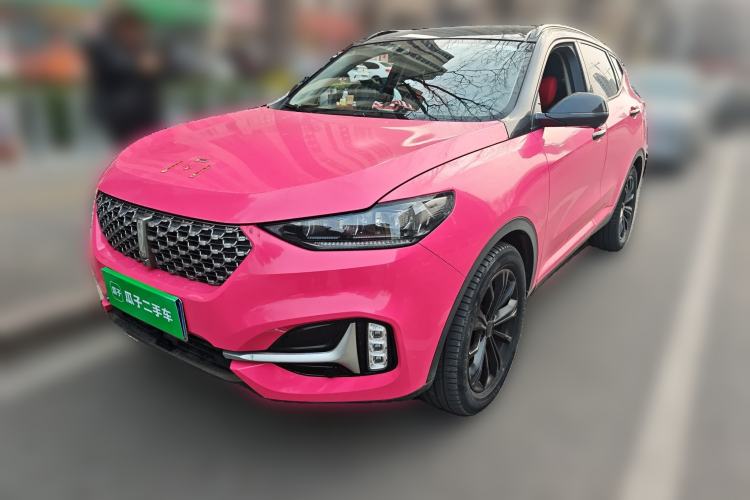 Used Wey VV6 2021 2.0T Two-Wheel Drive Smart Protection+