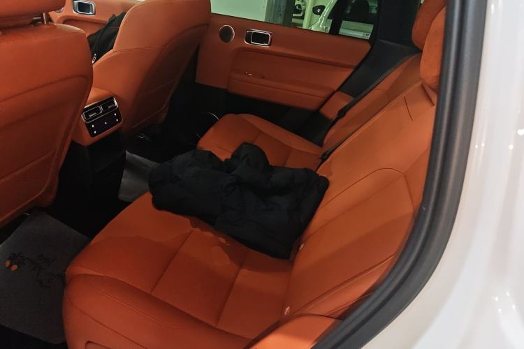 Used Li Auto L6 2024 Pro Model Left Rear Seat