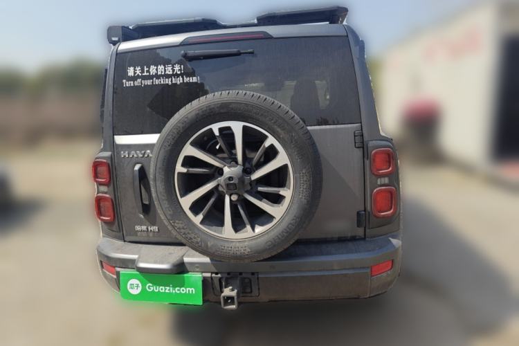 Used Haval H9 2024 2.0T Gasoline All-Wheel-Drive Extreme Edition
