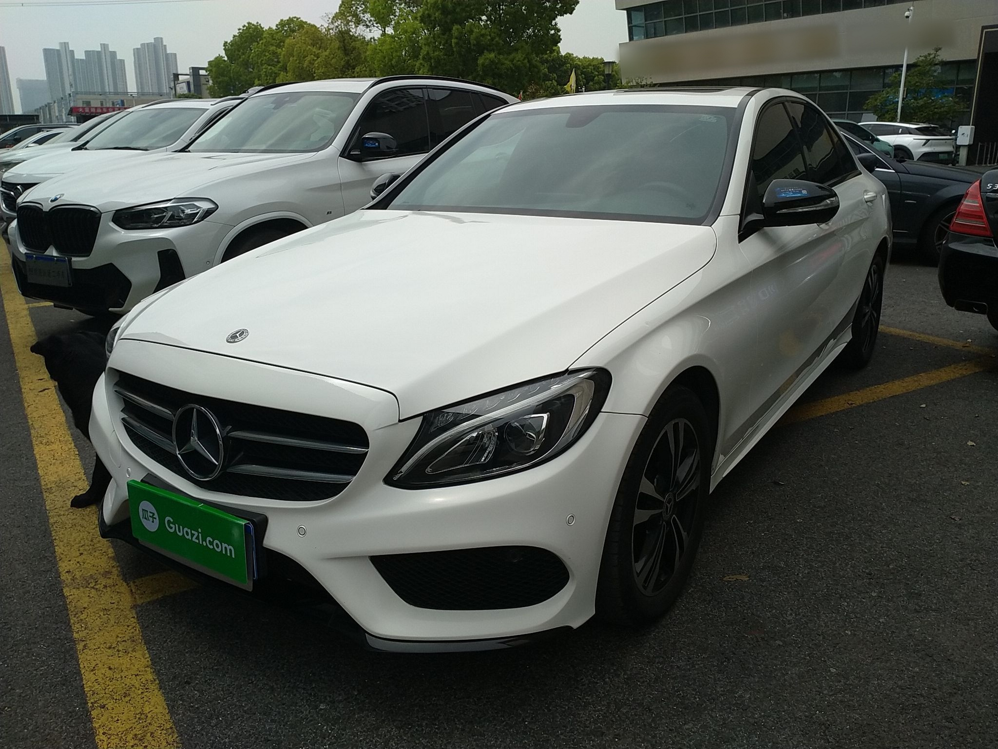 Parte inferior delantera