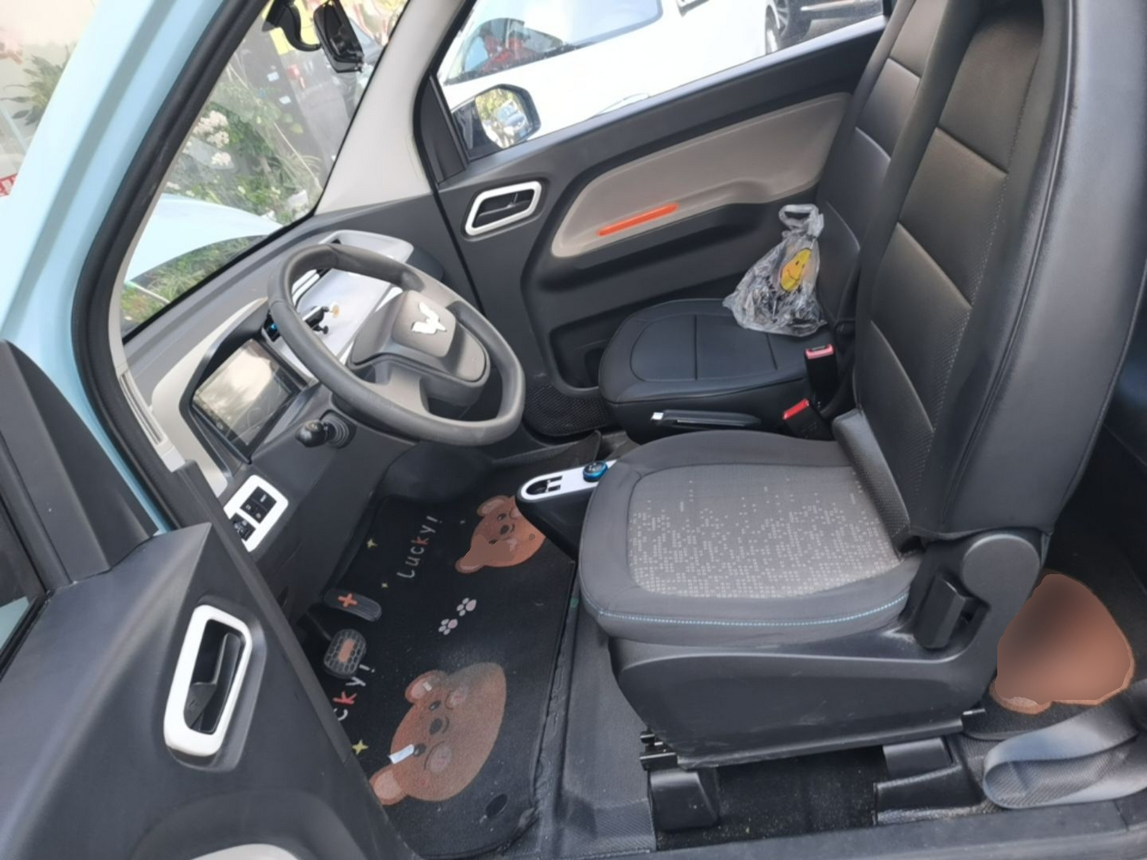 Interior delantero