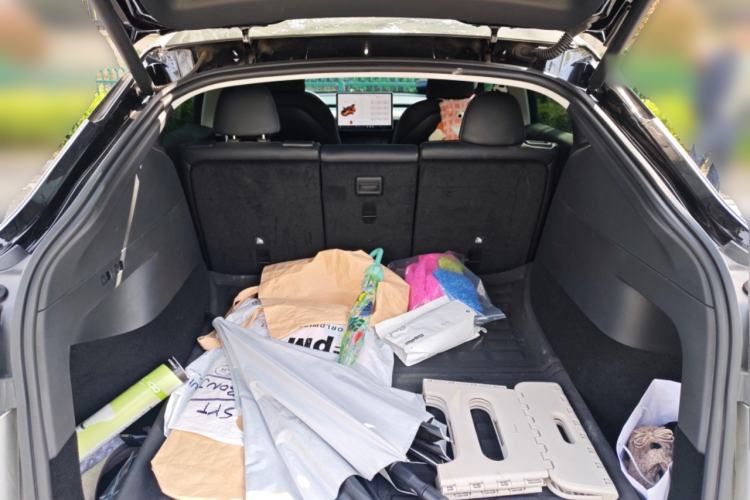 Used Tesla Model Y 2021 Standard Range Rear-Wheel Drive Version
