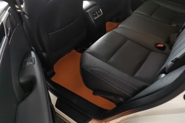 Used Lexus RX 2020 Facelifted 300 4x4 Elegant Edition Left Rear Seat