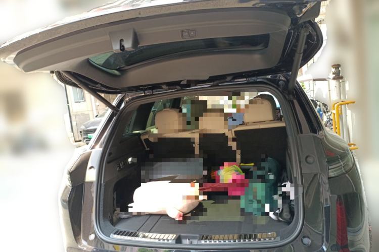 Used Li Auto L7 2023 Max model