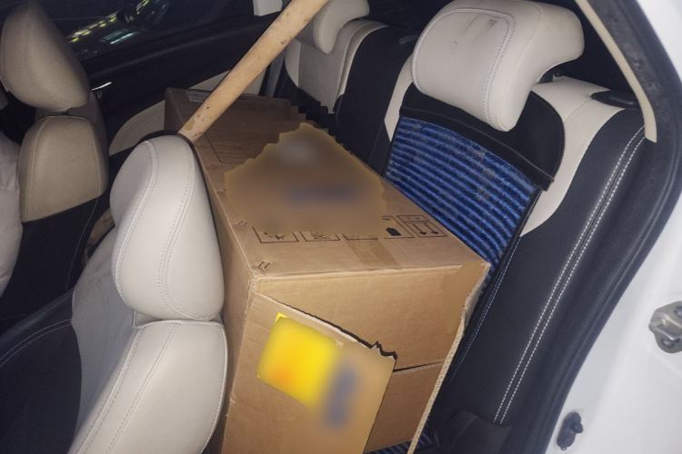 Used Livan Maple 30X 2020 Travel Edition
