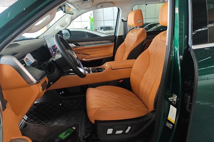 Used Tank 500 New Energy 2026 Model—Hi4-Z Smart Enjoyment Version Left Front Seat