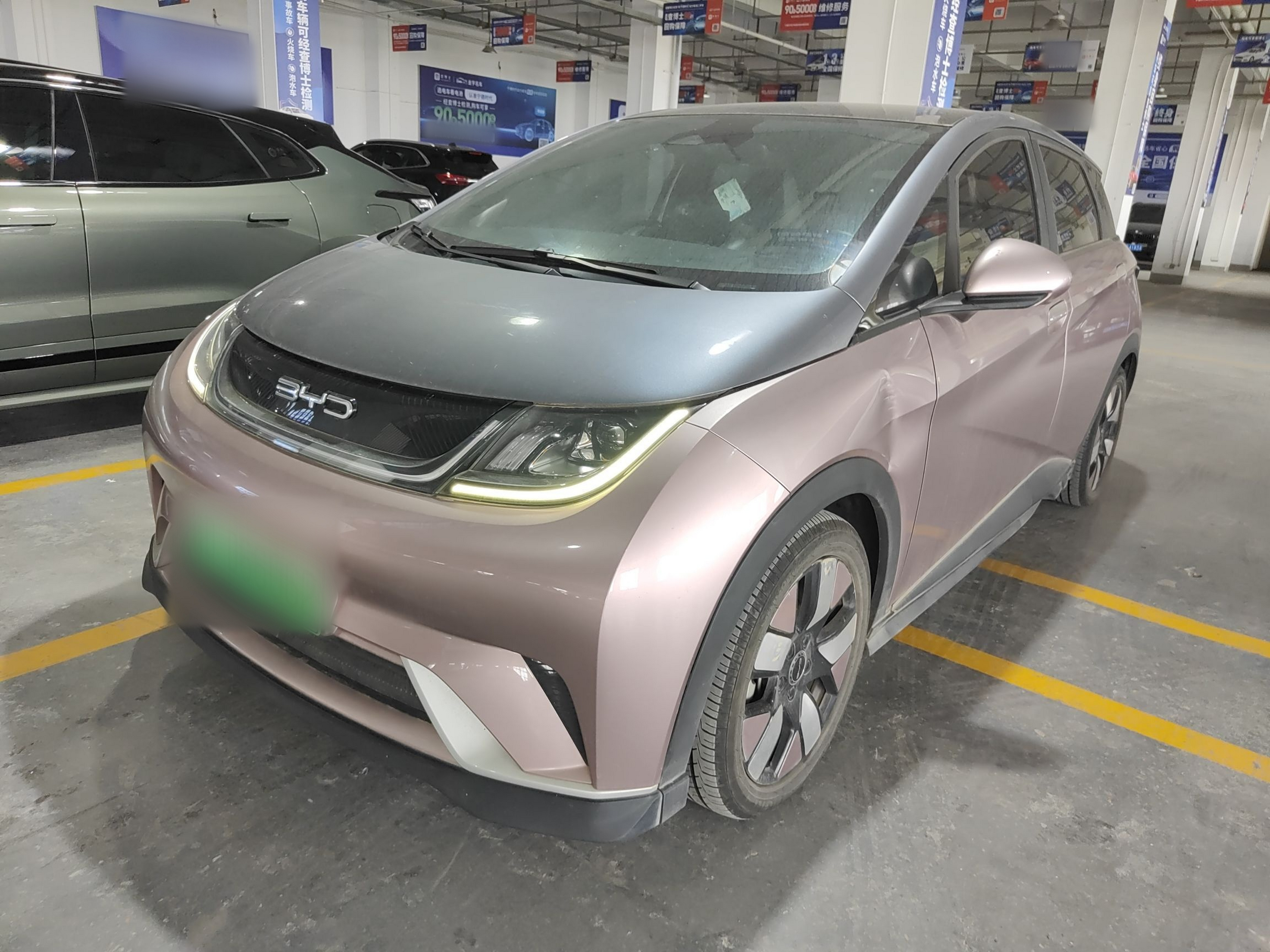 تحت مقدمة السيارة