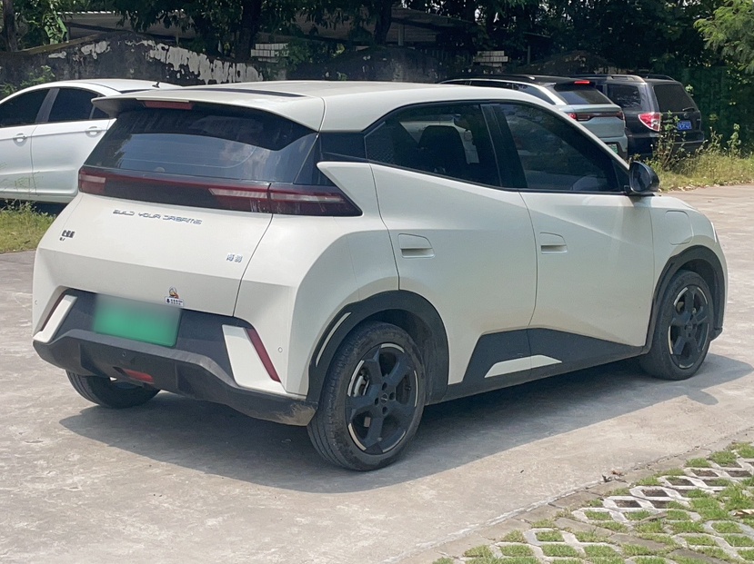 BYD Seagull 2024 Honor Edition 305km Freedom Version — снимка 16