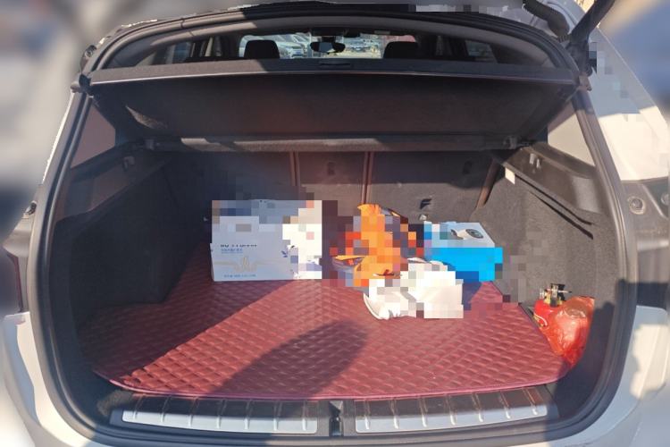 Used BMW X1 2020 xDrive25Li Luxury Edition