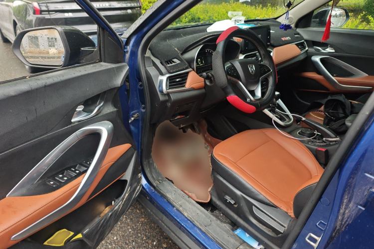 Used Baojun 510 2017 1.5L Manual Luxury Model Driver Seat