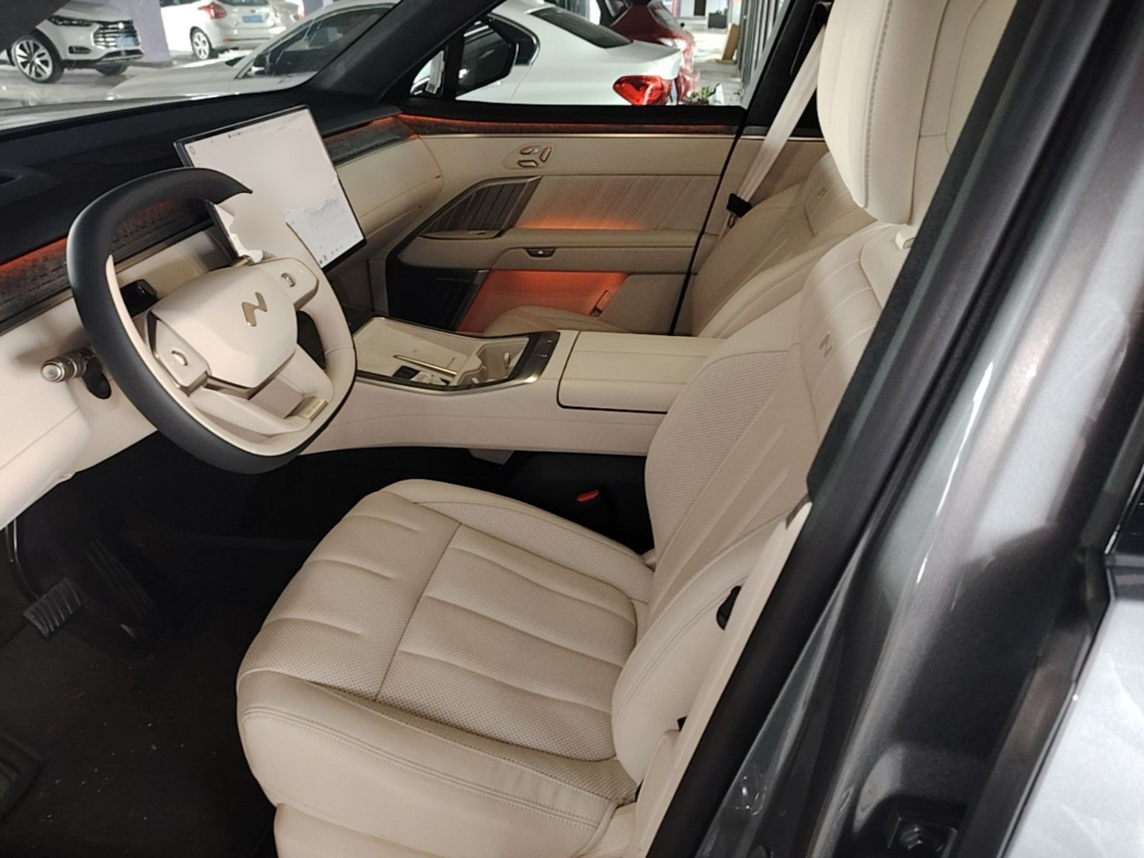 Interior delantero