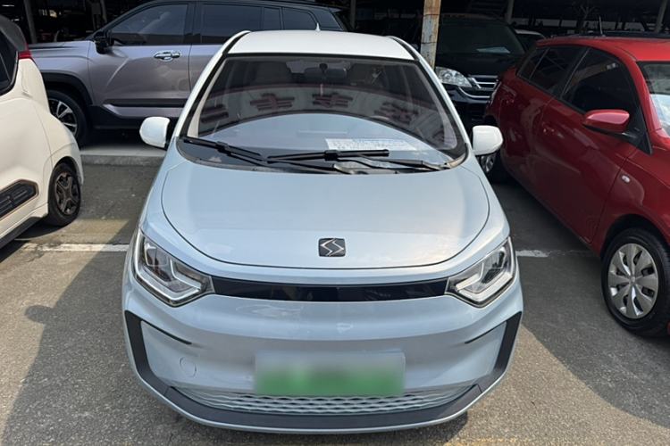 Used SOL E10X 2022 Flower Fairy Design Four-Leaf Clover