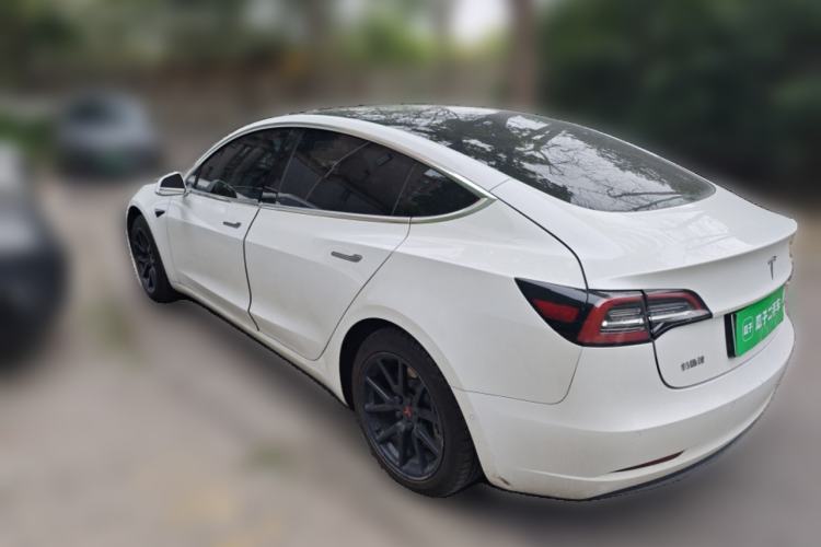 Used Tesla Model 3 2020 Standard Range Rear-Wheel Drive Upgraded Version Rear Left 45 Deg