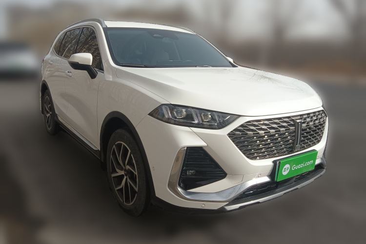 Used Wey Latte DHT-PHEV 2022 1.5T Two-Wheel-Drive Extra-Large Version
