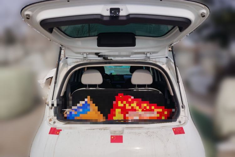 Used ORA White Cat 2020 305 km Luxury Version Trunk