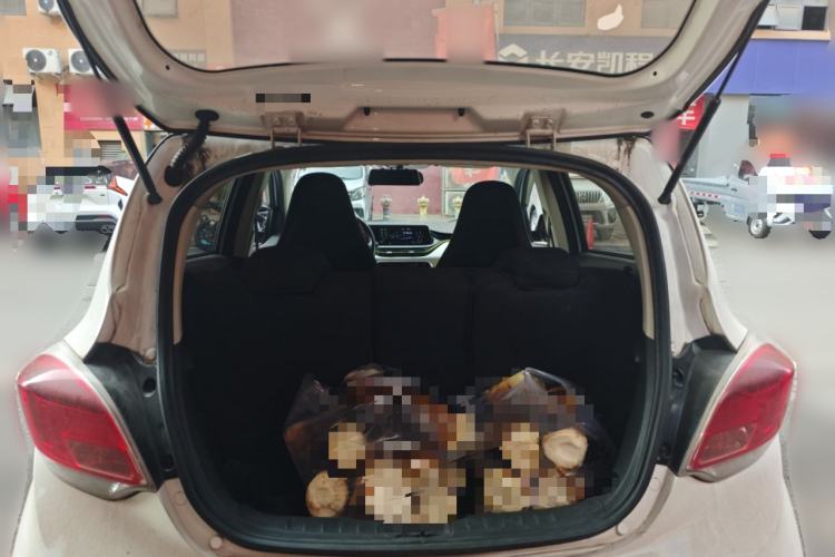 Used CHANGAN OSHAN Benni E-Star 2022 Qingxin Edition Colorful Model Lithium-NMC Trunk