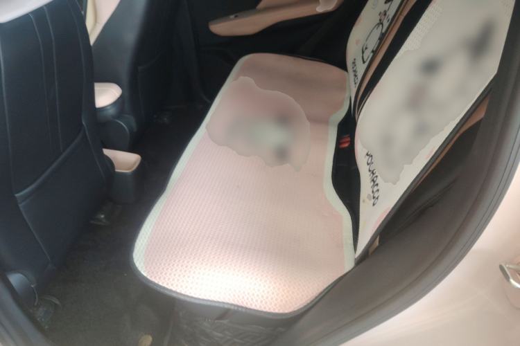 Used BYD Seagull 2024 Honor Edition 305km Freedom Version Left Rear Seat