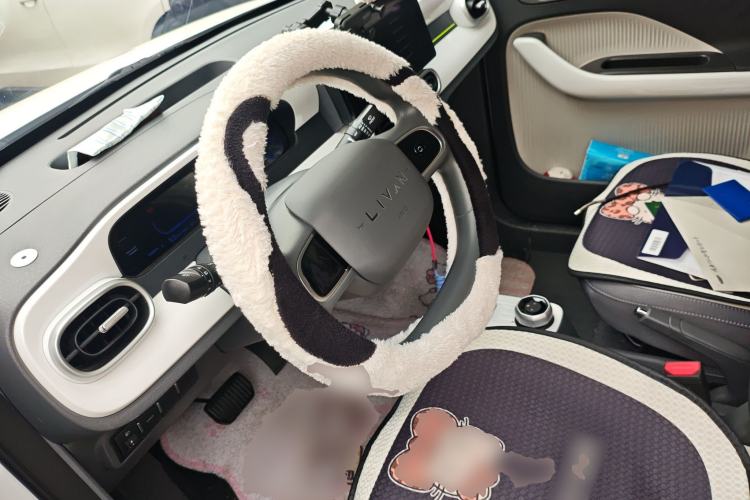 Used Livan Blue Balloon 2025 Model Dynamic Version